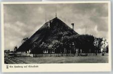 50700888 eiderstedt hauberg gebraucht kaufen  Deutschland