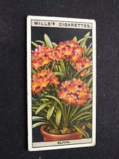 1925 WD & HO Wills Flower Culture In Pots Card # 18 Clivia (VG/EX) for sale  Shipping to South Africa