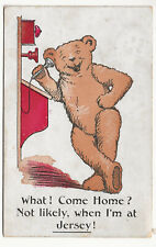 1910 postcard teddy for sale  LONDON