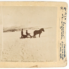 Trineo de nieve Hardanger Noruega Caballo Stereoview c1895 Vestland Mountain A2553 segunda mano  Embacar hacia Argentina