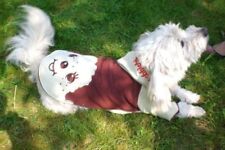 Hunde pullover design gebraucht kaufen  Wedel