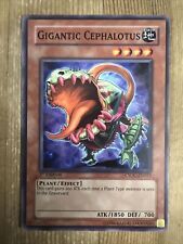 Yugioh Crossroads Of Chaos Singles Gigantic Cephalotus 1st Edition CSOC-EN025 for sale  Shipping to South Africa
