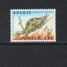 1965 jackson chameleon for sale  USA