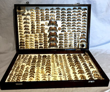 Antique butterfly moth for sale  LONDON