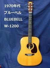 Acoustic guitar 1200 for sale  Shipping to Ireland