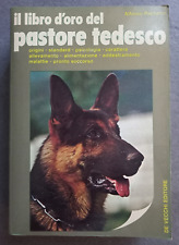 Alfonso pacheco libro usato  Torino