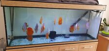 Fish tank stand for sale  ROMFORD