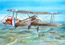 Picture postcard sopwith for sale  NEWCASTLE UPON TYNE