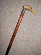 Antique walking stick for sale  PONTYCLUN