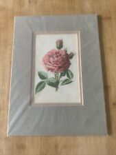 Edwardian flower print for sale  TAUNTON