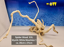 Moorwurzel spiderwood mystik gebraucht kaufen  Ulm