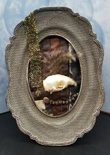 Framed rat skull for sale  Schertz