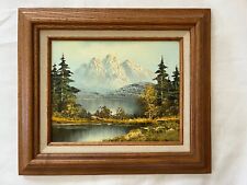 Vtg original oil painting on canvas Landscape Great Teton signed Coster framed for sale  Shipping to South Africa
