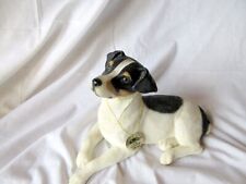 jack russells for sale for sale  STIRLING