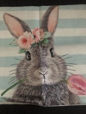 Adorable bunny rabbit for sale  Carney