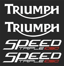 Triumph speed triple usato  Carmiano