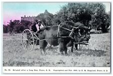 c1910 Quieted Long Run Buffalo Bison Carriage Field Pierre South Dakota Postcard for sale  Shipping to South Africa