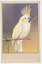 Postcard bird bird d'occasion  Expédié en Belgium