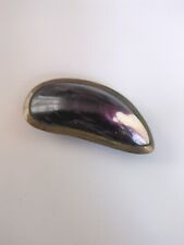 Antique mussel shell for sale  LLANELLI