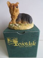 Teviotdale yorkshire terrier for sale  HENFIELD
