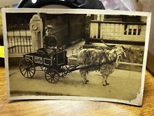 1920 goat cart for sale  Hillsboro