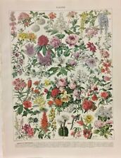 Gravure presse fleurs d'occasion  Rioz