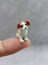 Tiny jack russell for sale  Shipping to Ireland