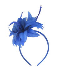 Royal blue flower for sale  DERBY