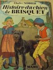 Histoire chien brisquet d'occasion  Bordeaux-