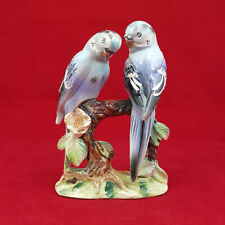 Unbranded pair parakeet for sale  DURHAM
