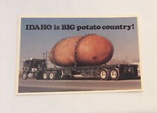 Idaho big potato for sale  USA