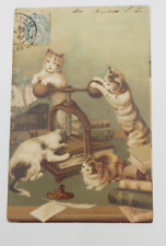 Cartolina postale 1904 usato  Napoli