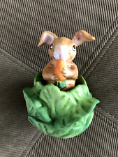 Bunny rabbit cabbage for sale  Utica