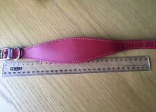 whippet collars for sale  COLERAINE