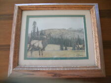 3 bulls framed pictures for sale  Corvallis