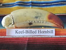 Real keel billed for sale  Natalia