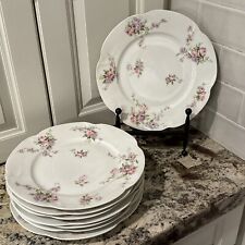 set 4 dinner plates for sale  Reno