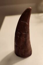 Rex dinosaur tooth for sale  Casselberry