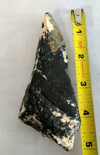 Shark tooth large for sale  Miami