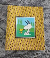 Peanuts snoopy woodstock for sale  Gilbertsville