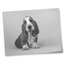 8x10 prints basset for sale  SELBY