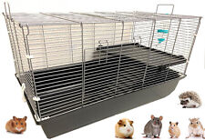 Large tiers hamster for sale  Pomona