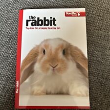 Rabbit good pet for sale  LEICESTER