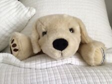 puppy hot water bottle for sale  DERBY