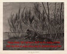Perro Belga Policía Malinois Guardia de Aduanas Contrabandistas Fronterizos, Impresión Antigua Años 1890 segunda mano  Embacar hacia Argentina