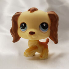 Hasbro littlest pet for sale  Westminster