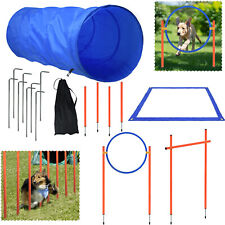 Beginner dog agility for sale  Shipping to Ireland