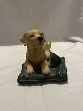 Labrador golden puppy for sale  SOUTHAMPTON