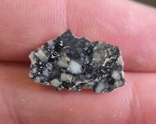 NWA 15583 Lunar Feldspathic Breccia 0.58g End Slice Meteorite for sale  Shipping to South Africa