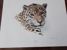 Charles frace jaguar for sale  Gainesville